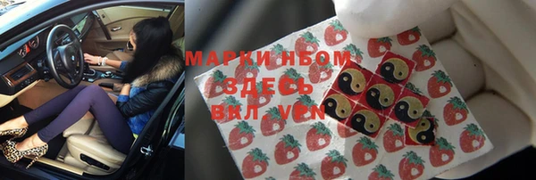 прущий лед Гусев