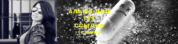 прущий лед Гусев