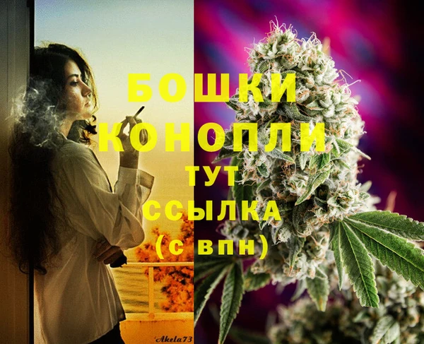 прущий лед Гусев