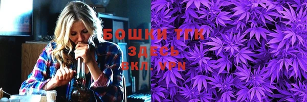 apvp Гусь-Хрустальный