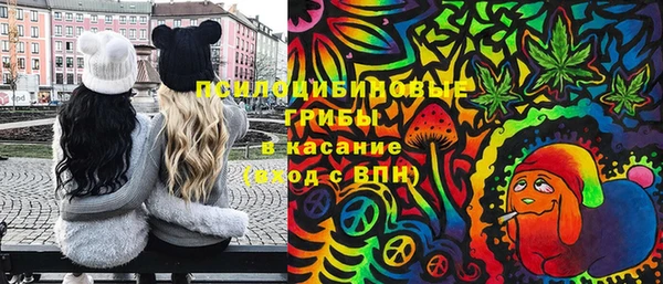 apvp Гусь-Хрустальный