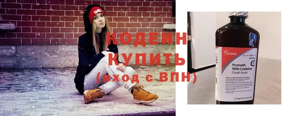 прущий лед Гусев